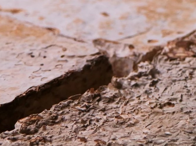 Close up image of the ground