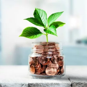 Jar of coins with a plant growing out of it